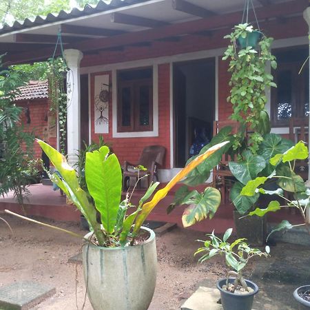 Angry Birds Homestay Habarana Værelse billede