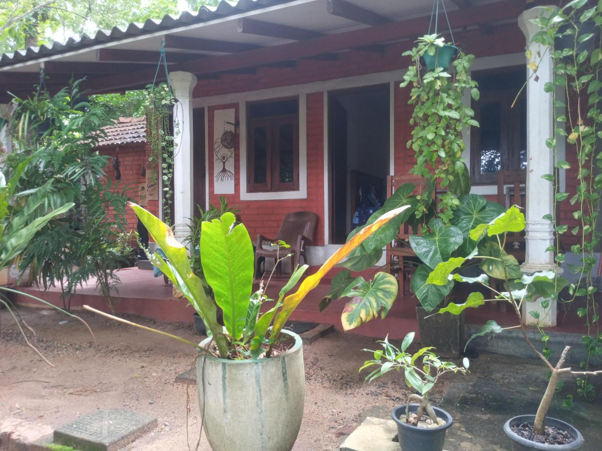 Angry Birds Homestay Habarana Værelse billede